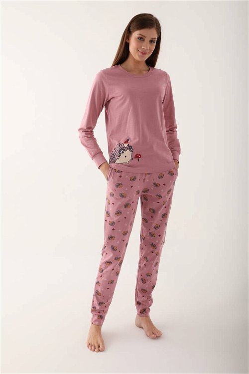 Arnetta Hedgehog Pembe Kadın Uzun Kol Pijama Takım
