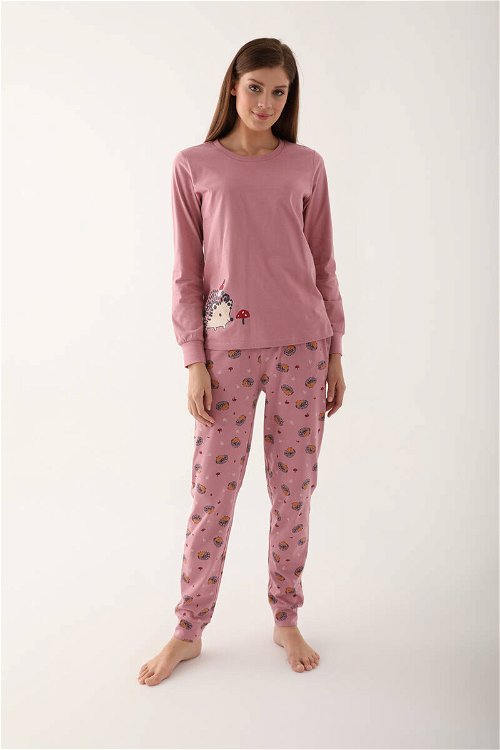 Arnetta Hedgehog Pembe Kadın Uzun Kol Pijama Takım
