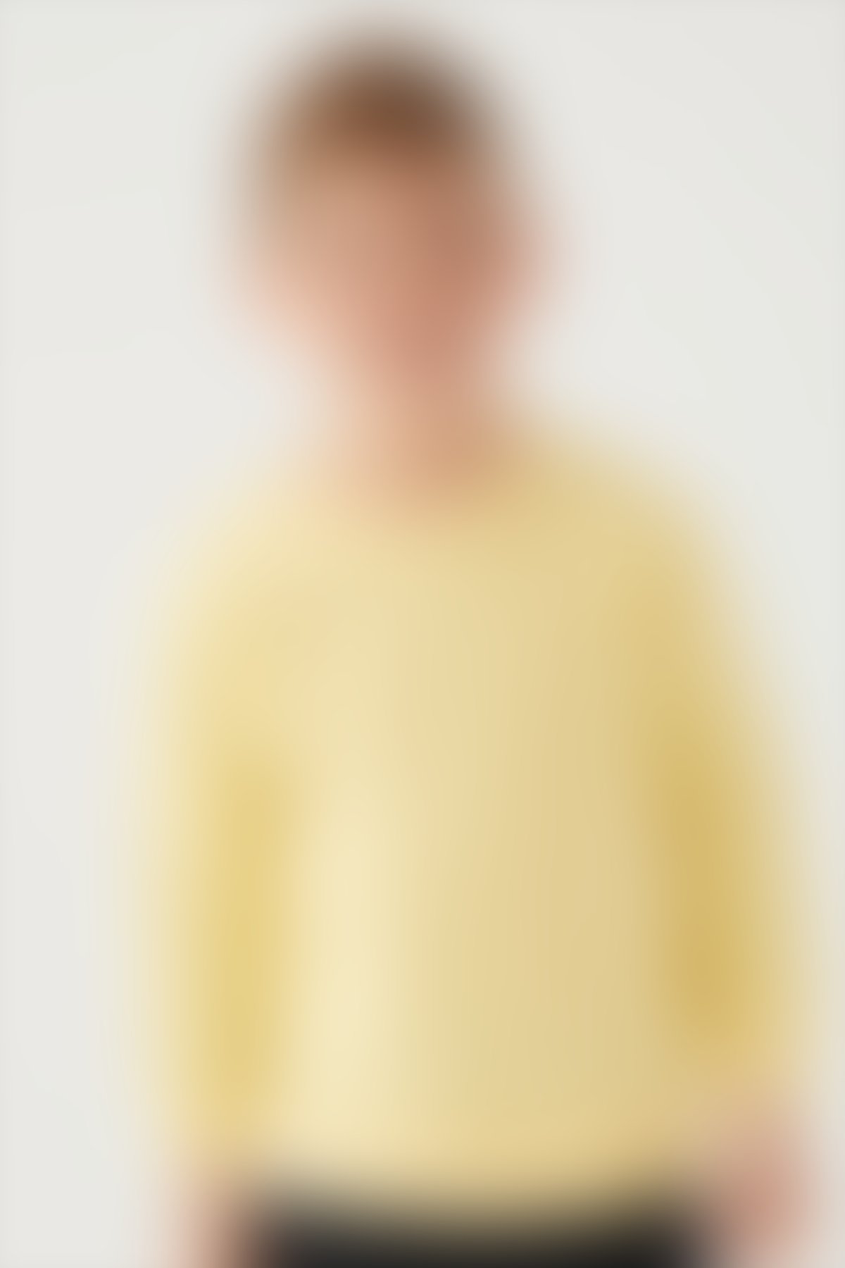 RolyPoly - Rolypoly Erkek Çocuk Sarı Sweatshirt
