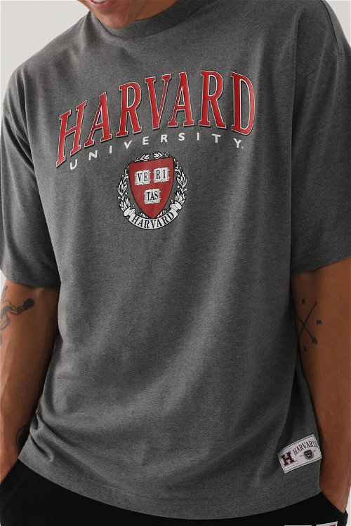 Harvard Erkek Antrasit Erkek Tshirt