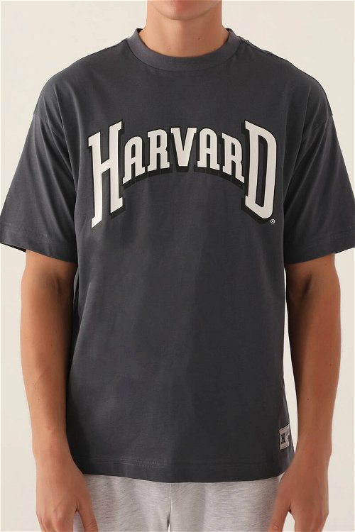 Harvard Cool Antrasit Erkek T-Shirt