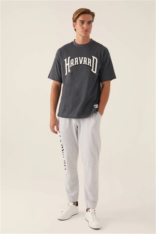 Harvard Cool Antrasit Erkek T-Shirt