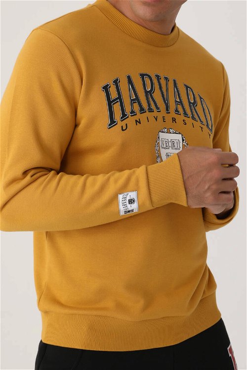 Harvard Koyu Hardal Erkek Sweatshirt