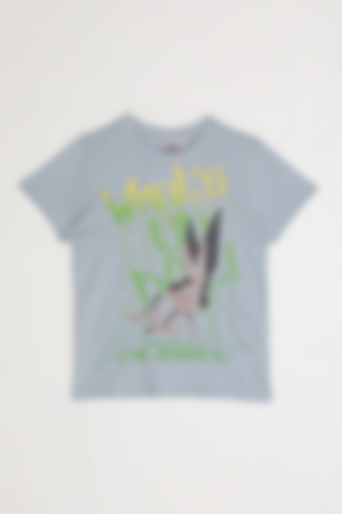 Looney Tunes - Looney Tunes Erkek Çocuk T-Shırt Duman