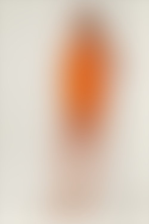 Pierre Cardin - Pierre Cardin Short Turuncu Kadın Şort Takım