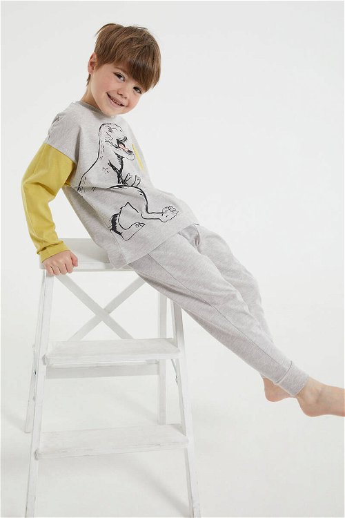 RolyPoly Dinosaur Bejmelanj Erkek Çocuk Uzun Kol Pijama Takım