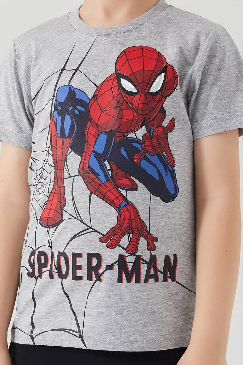 Spiderman Hero Gri Melanj Erkek Çocuk Bermuda Takım