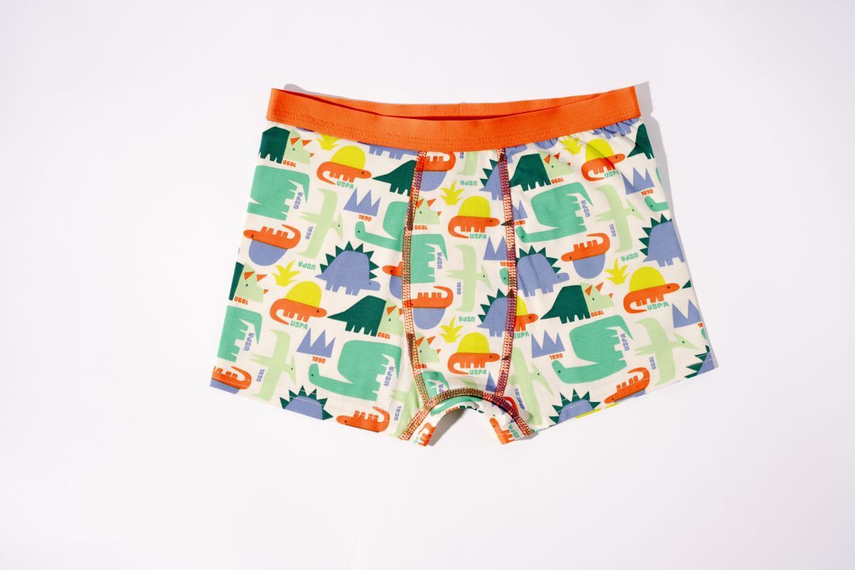 U.S. Polo Assn. - U.S. Polo Assn. Erkek Çocuk Beyaz 3'lü boxer (1)