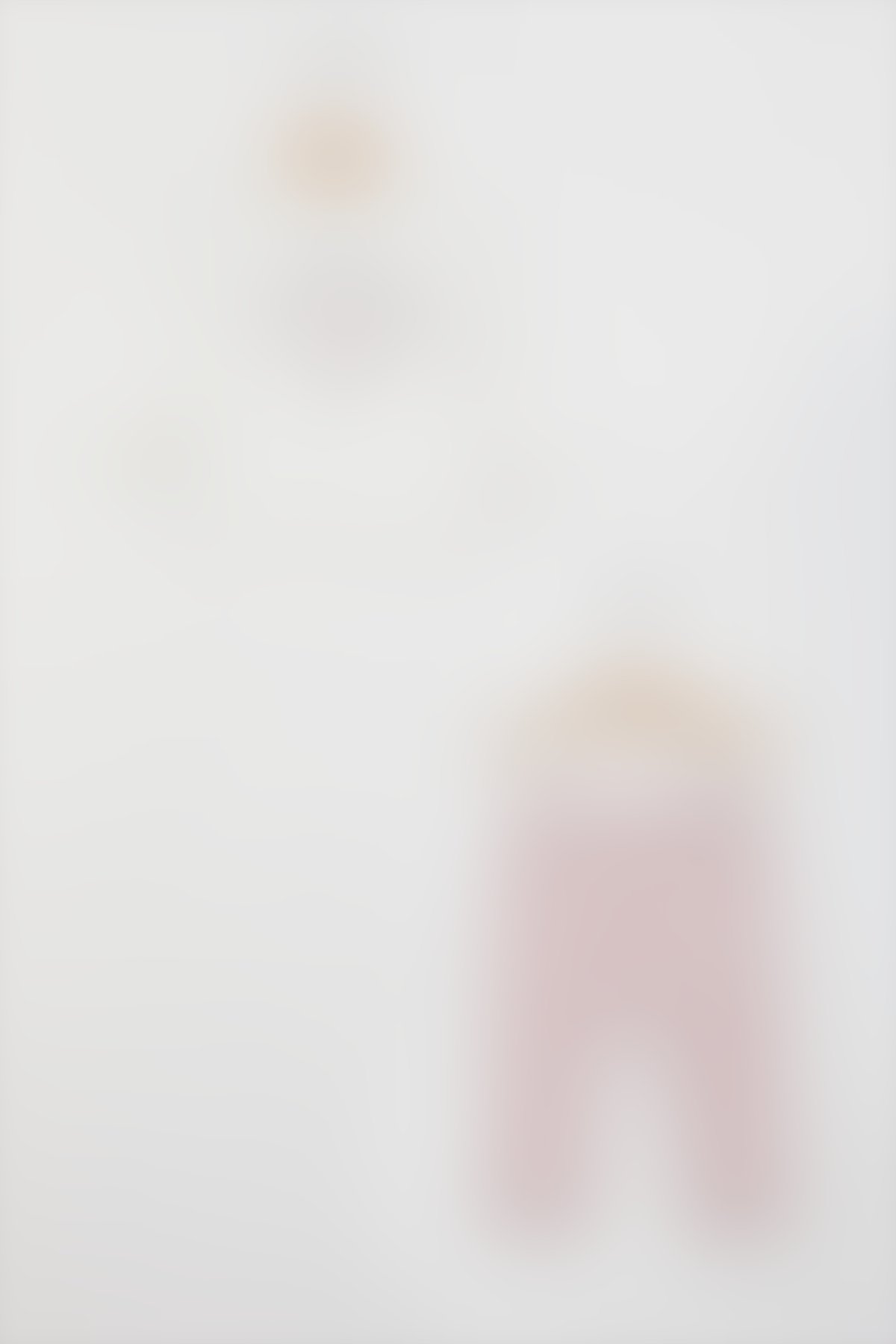 U.S. Polo Assn Bebek - U.S. Polo Assn Lisanslı Basic Pudra Kız Bebek Uzun Kol Eşofman Takım