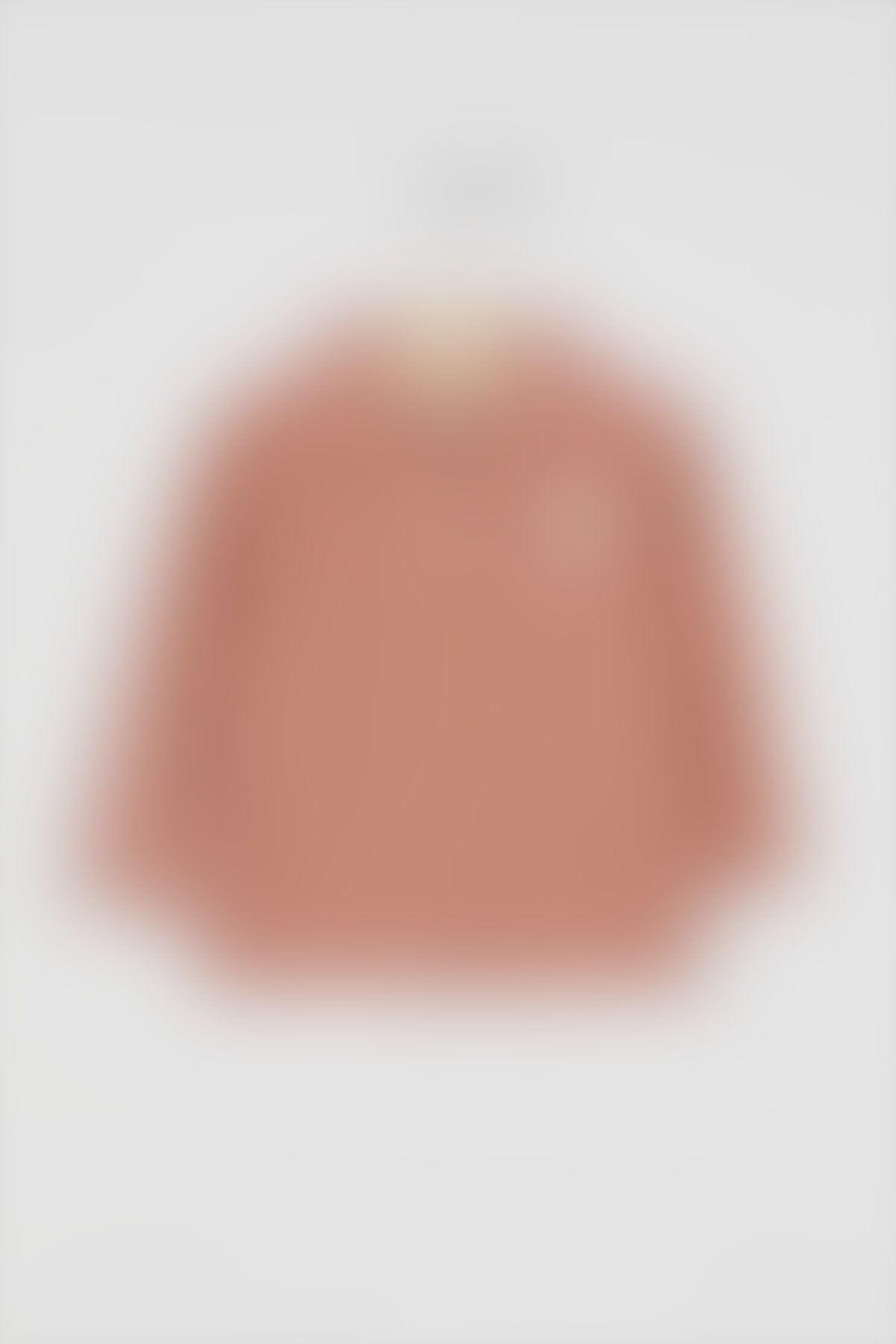 U.S. Polo Assn Bebek - U.S. Polo Assn Lisanslı Classic Açık Kahve Bebek Uzun Kol Yakalı Sweatshirt