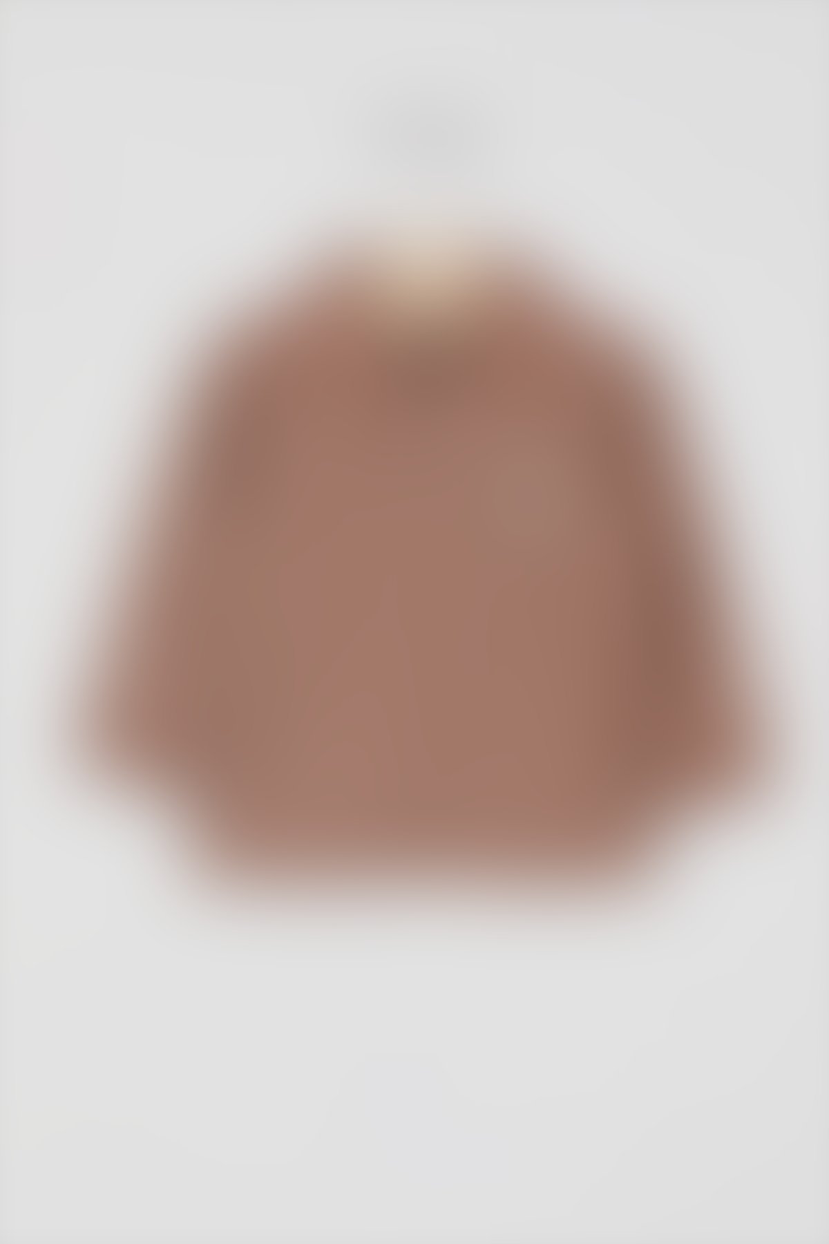 U.S. Polo Assn Bebek - U.S. Polo Assn Lisanslı Classic Açık Kahve Erkek Bebek Uzun Kol Yakalı Sweatshirt