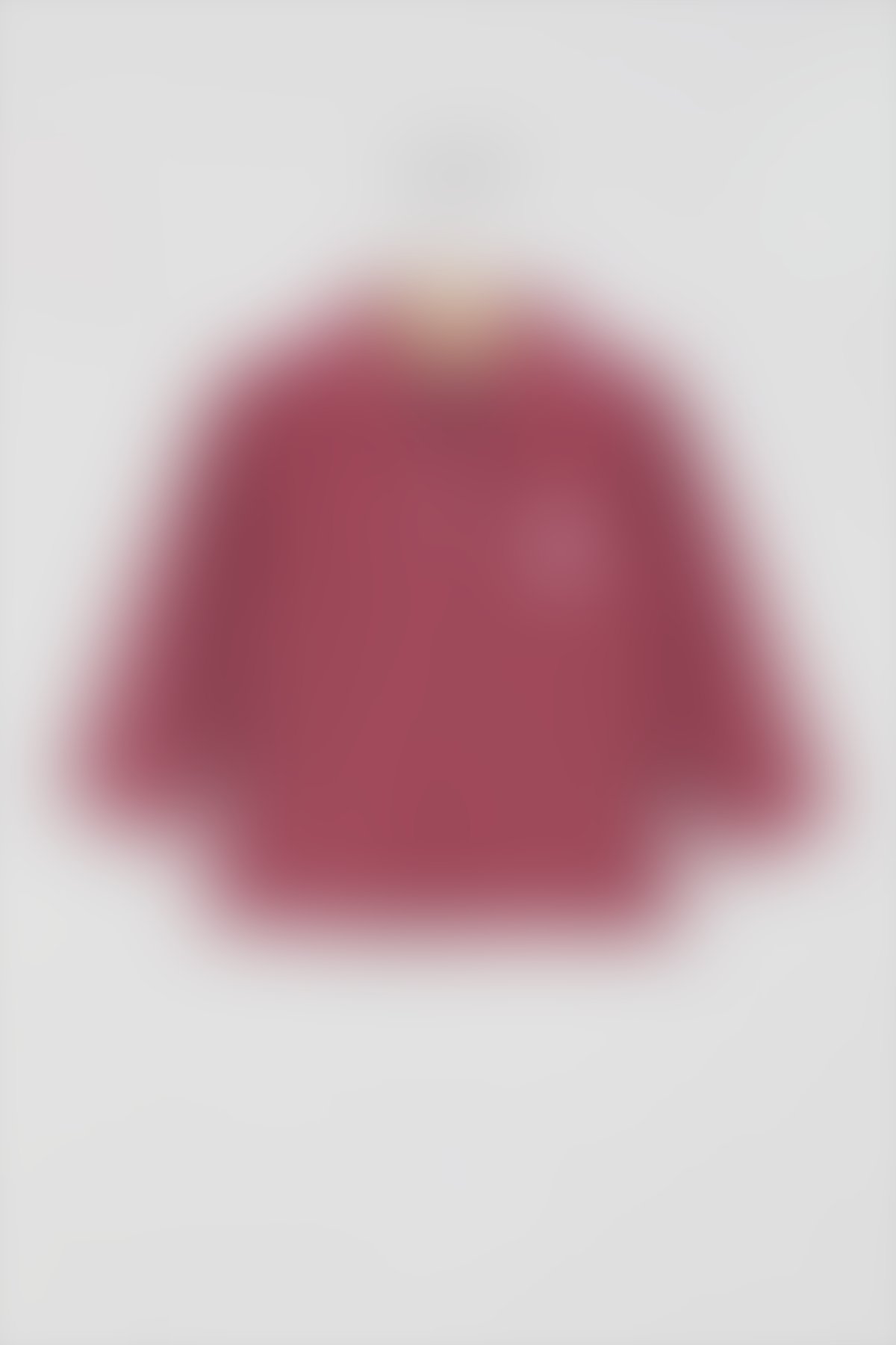 U.S. Polo Assn - U.S. Polo Assn Lisanslı Classic Gül Kurusu Bebek Uzun Kol Yakalı Sweatshirt