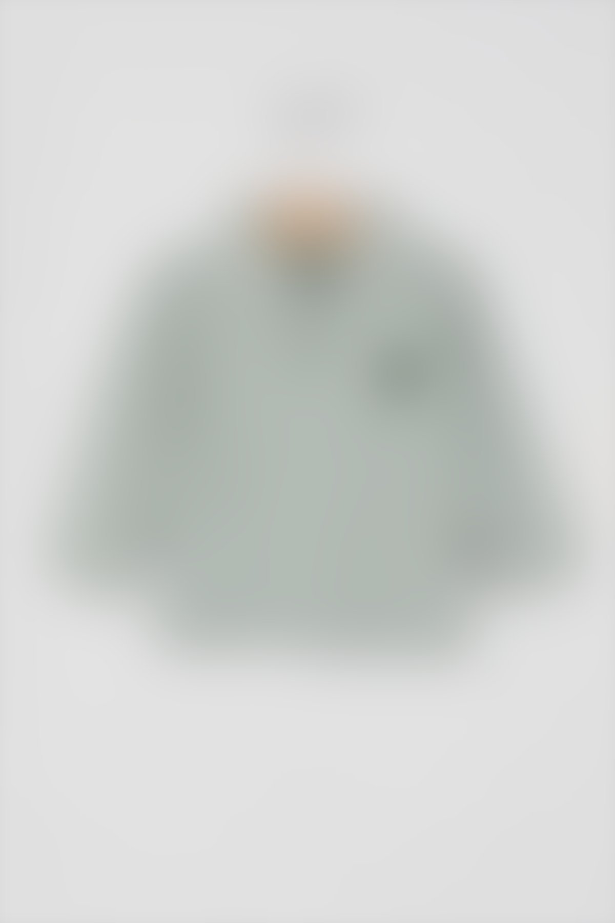 U.S. Polo Assn - U.S. Polo Assn Lisanslı Classic Haki Erkek Bebek Uzun Kol Yakalı Sweatshirt