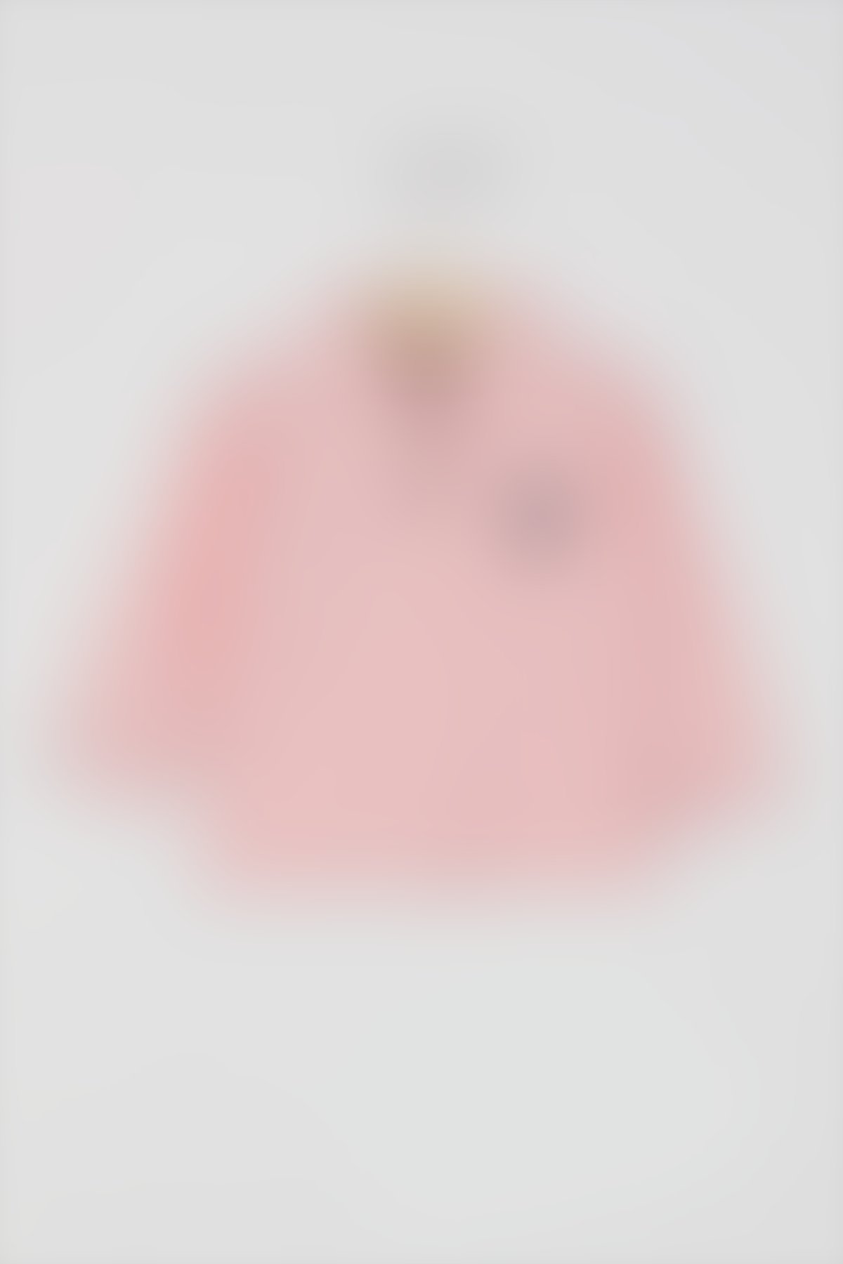 U.S. Polo Assn Bebek - U.S. Polo Assn Lisanslı Classic Somon Bebek Uzun Kol Yakalı Sweatshirt