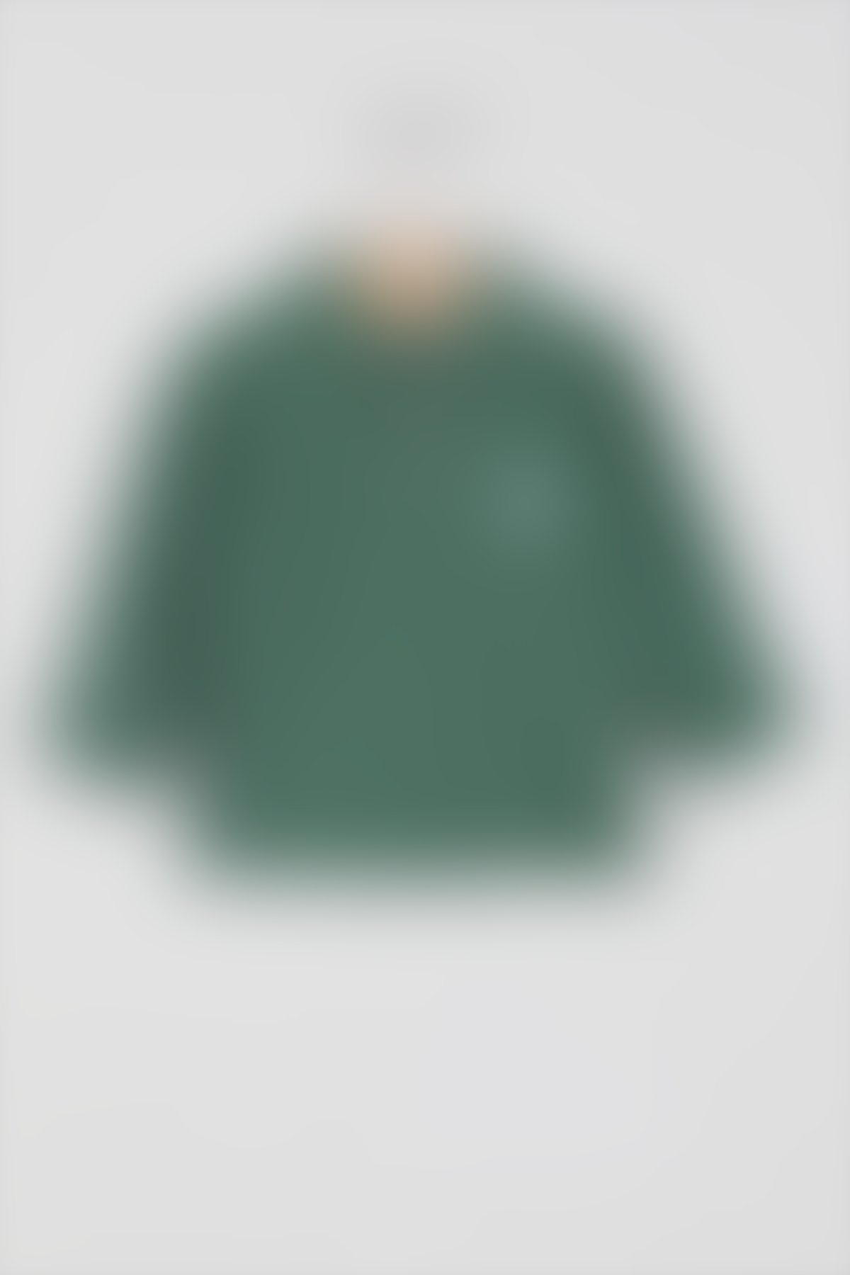 U.S. Polo Assn - U.S. Polo Assn Lisanslı Classic Yeşil Erkek Bebek Uzun Kol Yakalı Sweatshirt