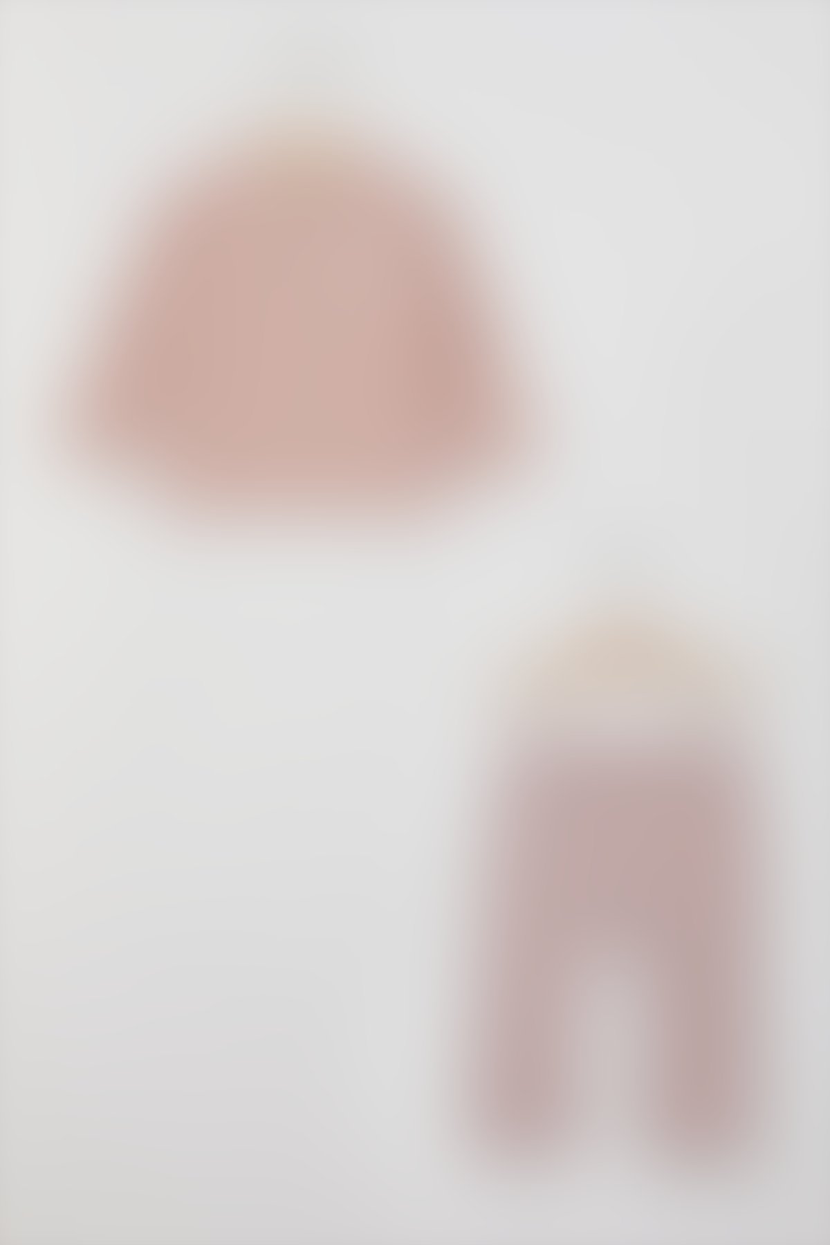 U.S. Polo Assn - U.S. Polo Assn Lisanslı Pudra Kız Bebek Uzun Kol Sweatshirt Takım