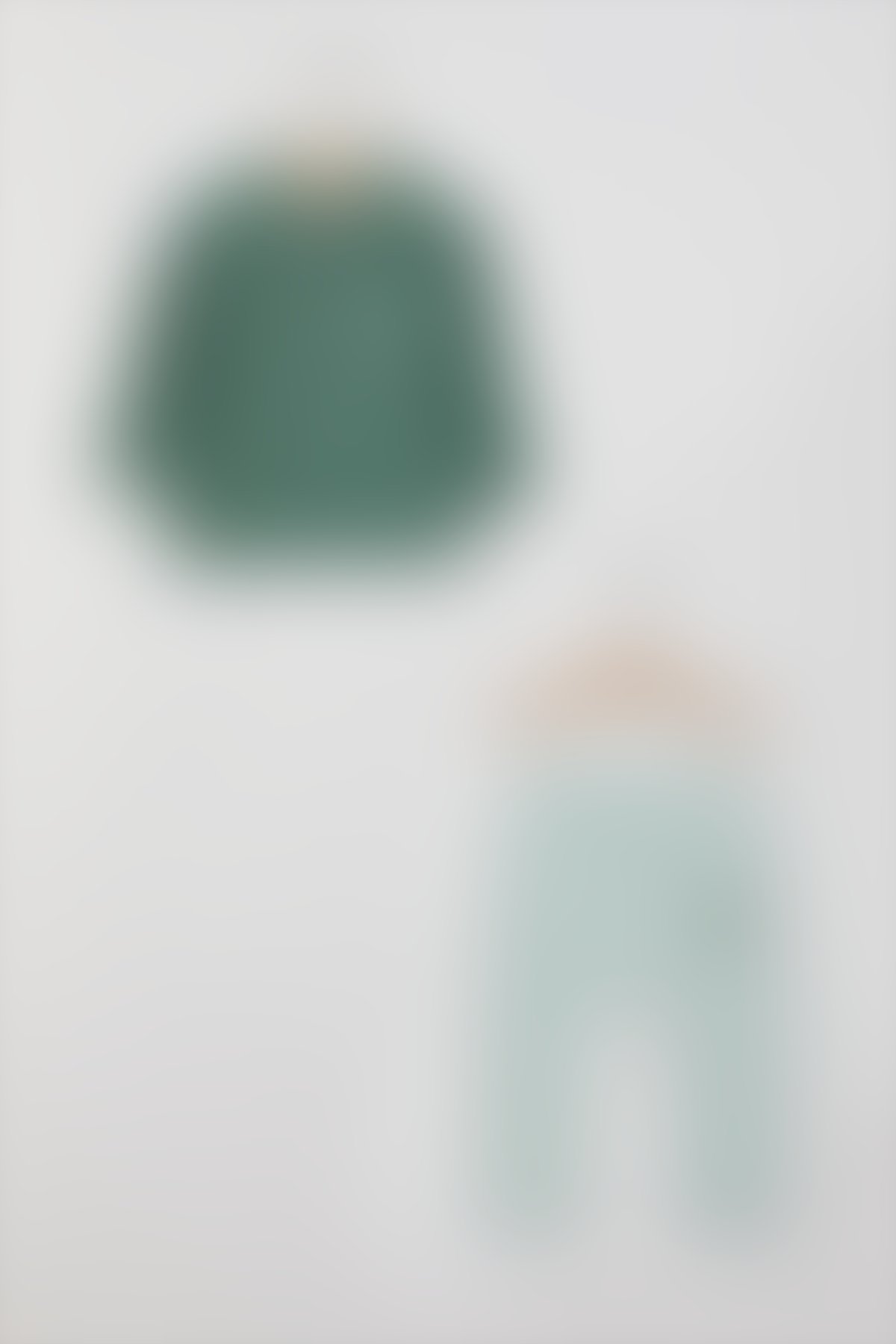 U.S. Polo Assn Bebek - U.S. Polo Assn Lisanslı Yakalı Yeşil Erkek Bebek Uzun Kol Sweatshirt Takım
