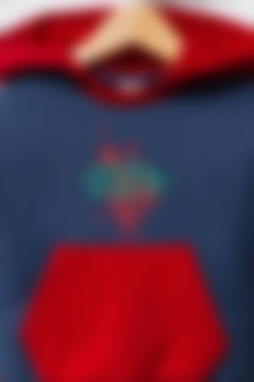 U.S. Polo Assn - U.S. Polo Assn Erkek Bebek Çok renkli Bebek Takımları