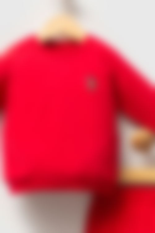 U.S. Polo Assn - U.S. Polo Assn Erkek Bebek Kırmızı Bebek Takımları